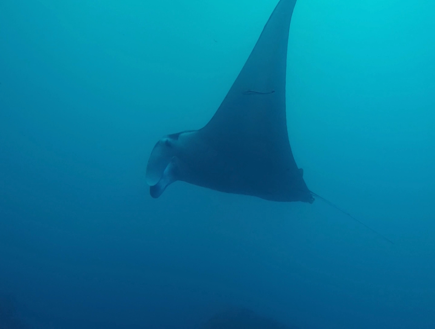 Nusa Penida -2017-